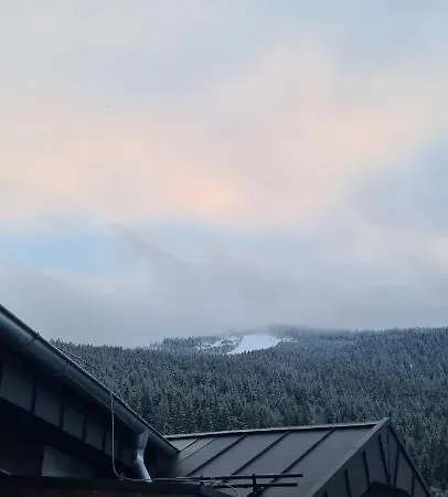 Czarna Perla Czarna Gora 501 *