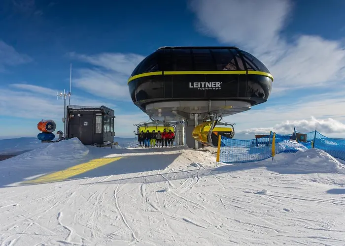 Daire Czarna Perla Czarna Gora 501 Sienna (Klodzko)