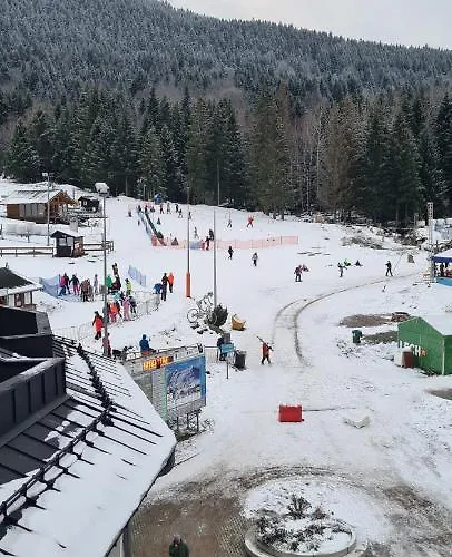 Czarna Perla Czarna Gora 501 *